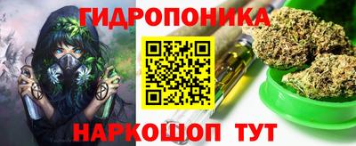 гидра Заволжье