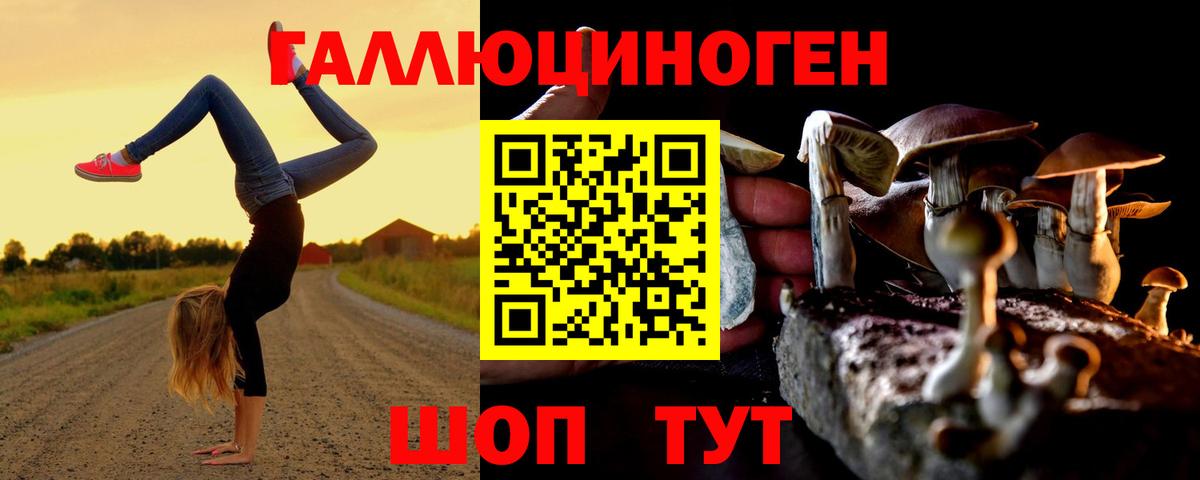 Бошки Шишки Лесной