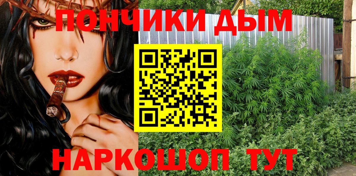 Конопля THC 21%  Вход с VPN  Лесной  Канабис сатива 